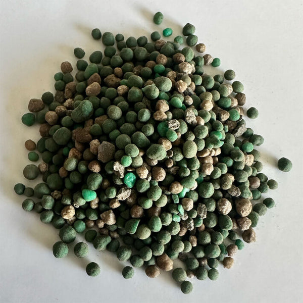 Real Growers Grow Dots Extended Veg Formula 75grams