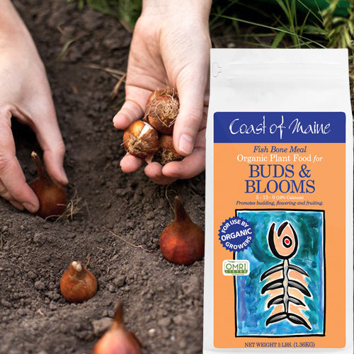 Coast of Maine Fish Bone Meal- 3 lbs