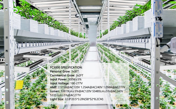 MARS HYDRO FC 3000 SAMSUNG LM301 OSRAM LED GROW LIGHT