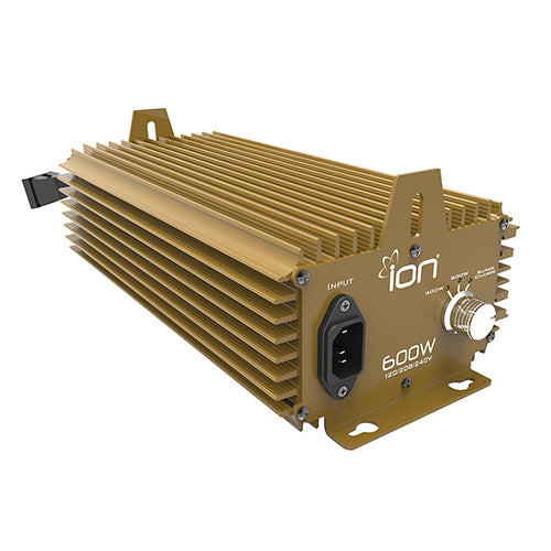 ION Electronic Ballast, 600W 120/208/240