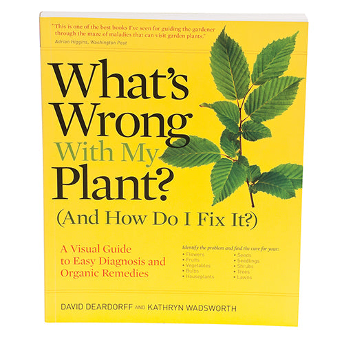 What’s Wrong With My Plant? (And How Do I Fix It?)