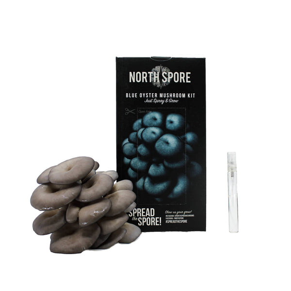 North Spore Blue Oyster Mushroom Spray & Grow Kit
