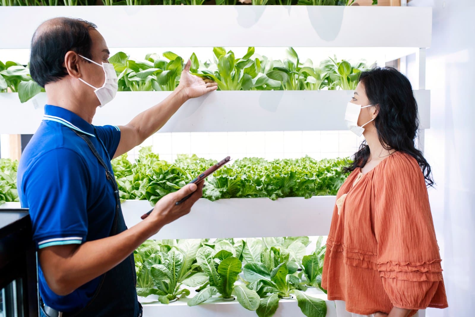 Choosing the Right Grow Light for Your Hydroponic Setup