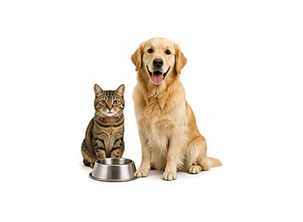Animals & Pet Supplies