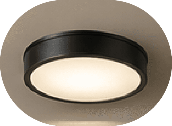 Ceiling Light Fixtures