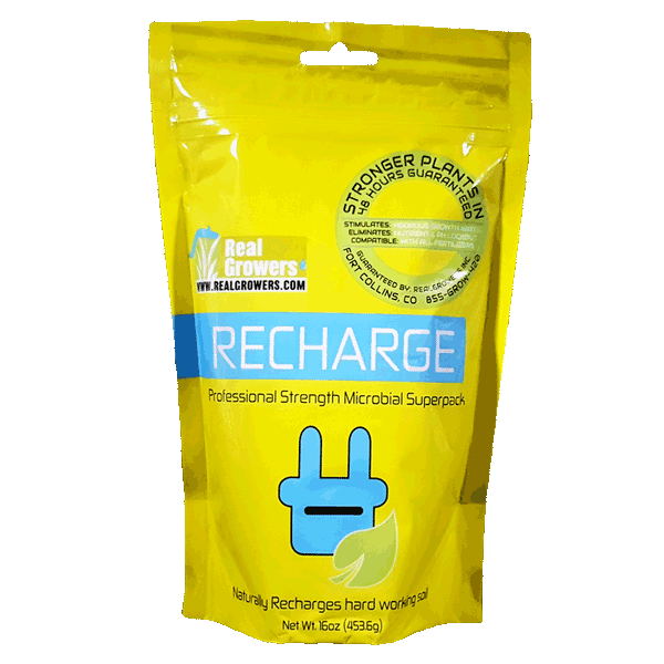 Real Growers Recharge Instant Compost Tea 16oz Bag