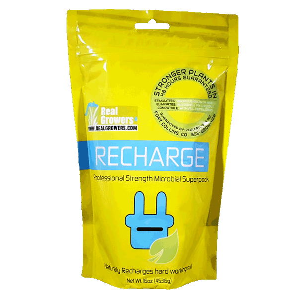 Real Growers Recharge 16oz Bag