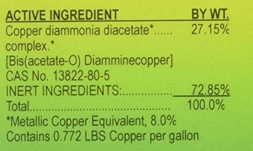 Southern Ag Liquid Copper Fungicide, 16oz - Pint
