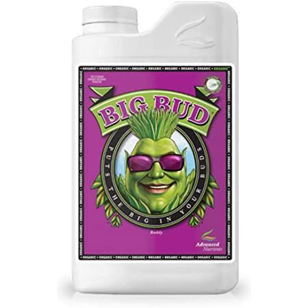 Big Bud Organic L