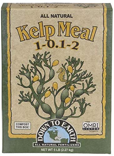 Down To Earth Kelp Meal 1-0.1-2 - 5 lb