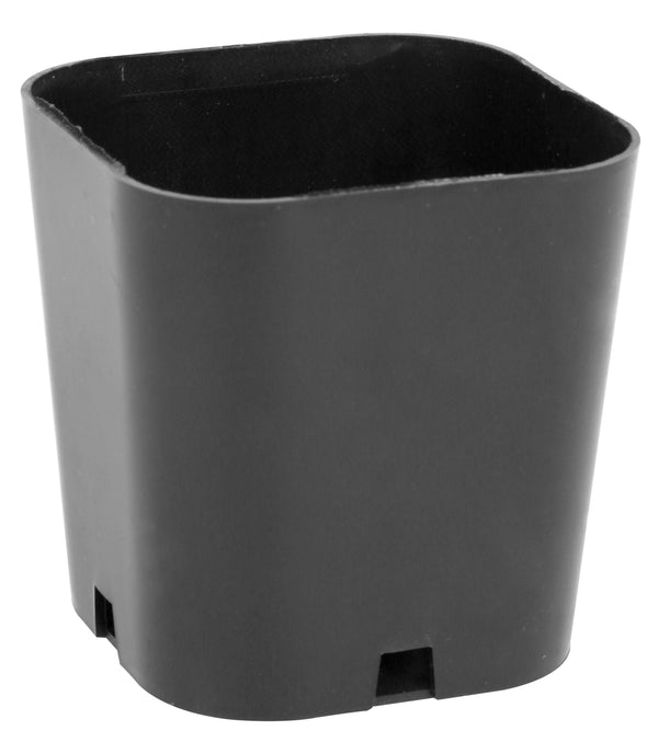 Super Sprouter Singled Out Propagation Pot 2 in (50/Bag)