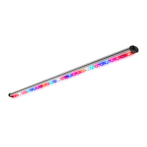Kind LED Flower Micro Bar Light, 4