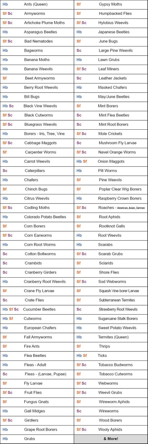 Nature's Good Guys - Nematodes Steinermea Feltiae 5 Mil