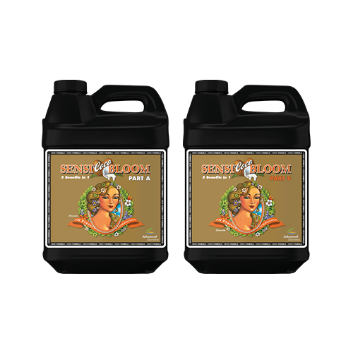 pH Perfect Sensi Coco Bloom Part B 500mL | CityLine Hydro pH Perfect Sensi Coco Bloom Part B 500mL | CityLine Hydro