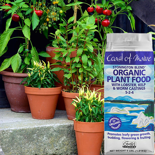 Coast of Maine Stonington Blend Organic Plant Food - 4lb