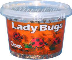 Orcon Lady Bug Pre-Paid Certificate, 1,500 Adults