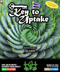 Key To Life Key to Uptake, 32 oz