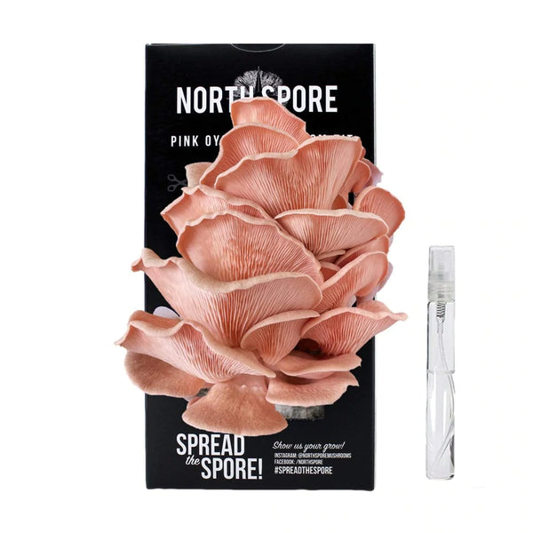 North Spore Pink Oyster Mushroom Spray & Grow Kit