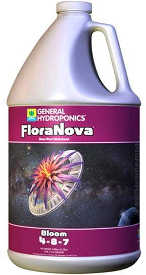 GH FloraNova Bloom, gal