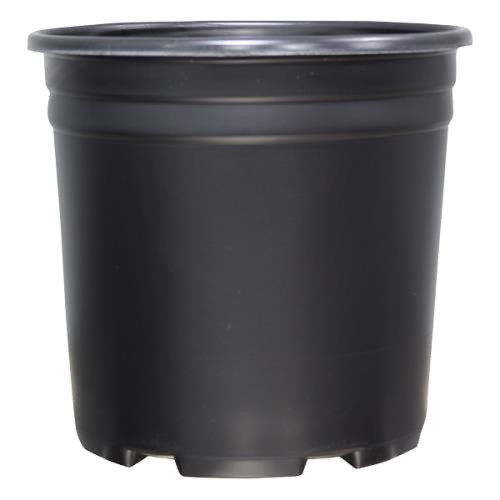 Thermoformed Nursery Pot 1 Gallon