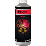 Cutting Edge Solutions Bloom-2.41 lbs