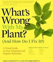 What’s Wrong With My Plant? (And How Do I Fix It?)